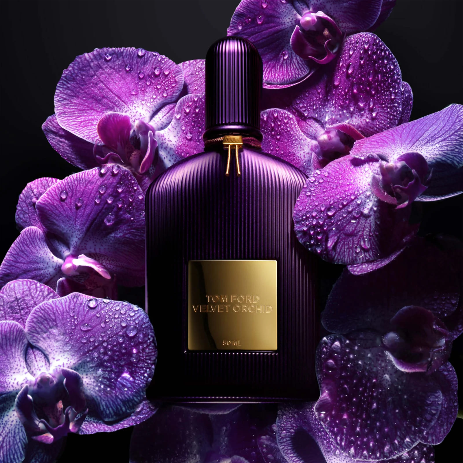 Tom Ford Velvet Orchid EDP 100 ml. - Image 2