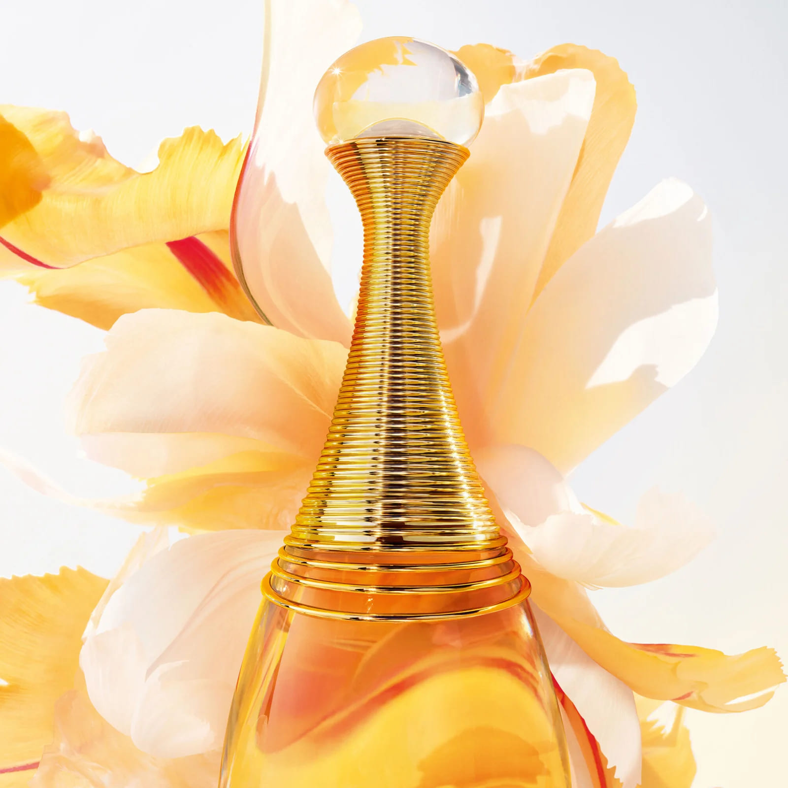 Dior J'adore EDP - Image 2