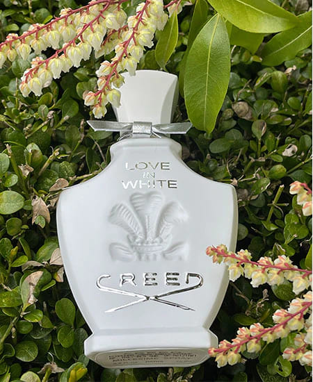 Creed Love in White - Image 2