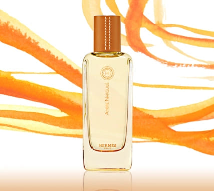 Hermes Terre D'Hermes Ambre Narguile 100ml. - Image 4